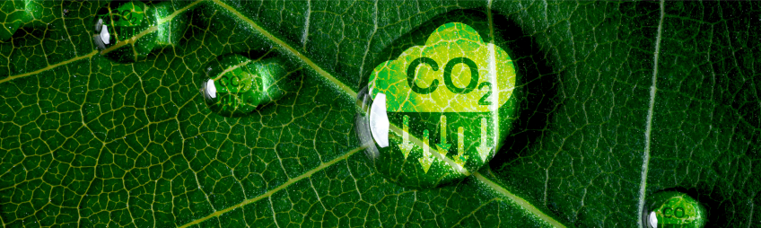 ISO 14046 Su Ayak İzi Doğrulama